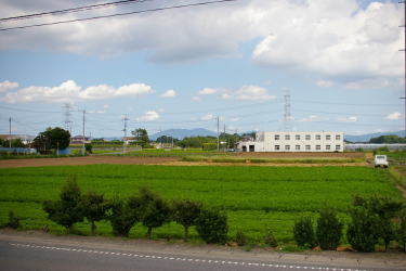 潮田農園の風景