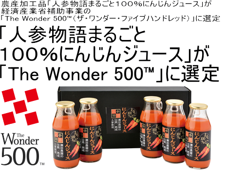 thewonder500-01